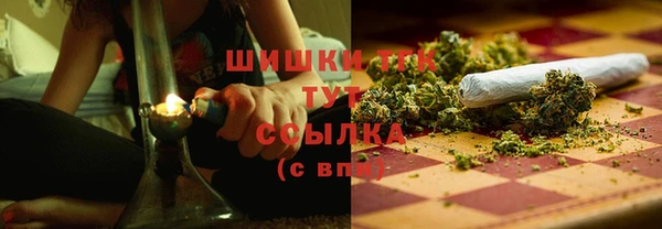 спайс Баксан