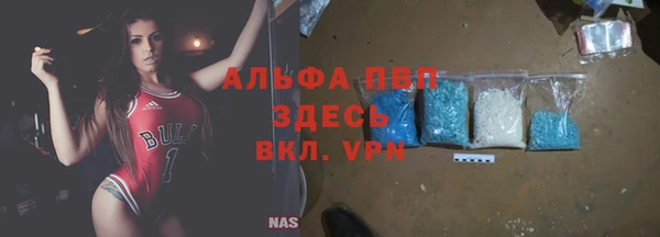 PSILOCYBIN Алзамай