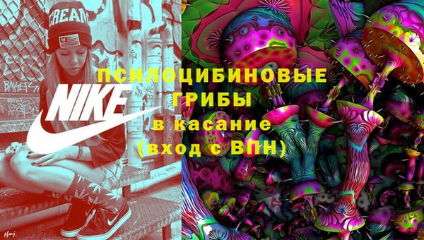 мяу мяу мука Арсеньев