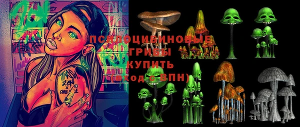 мяу мяу мука Арсеньев