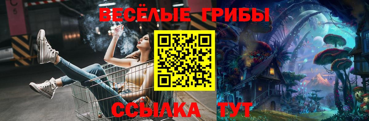 Волхов  Галлюциногенные грибы мухоморы  Вход с VPN 