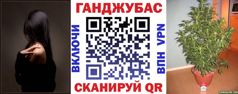продажа наркотиков  Волхов  Шишки марихуана конопля 